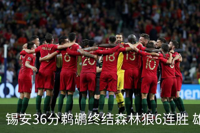 锡安36分鹈鹕终结森林狼6连胜 雄鹿险胜公牛